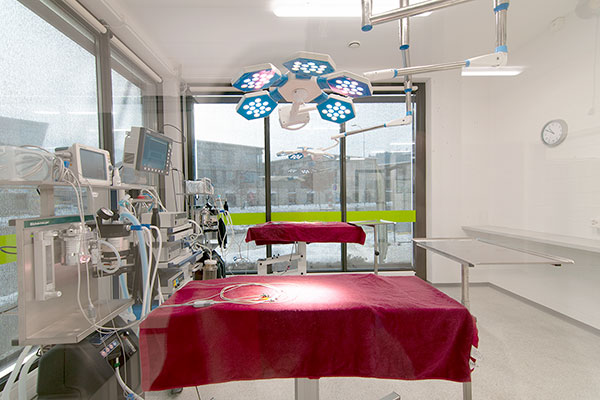 Tierklinik Operationssaal
